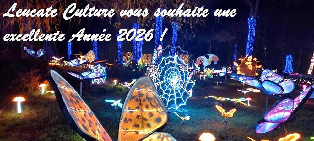 Bonne annee 2026