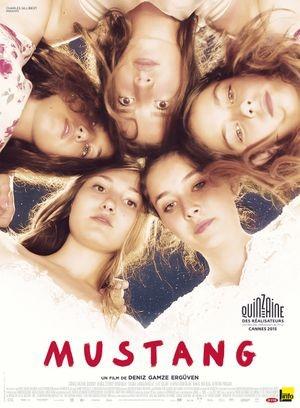 Mustang 1